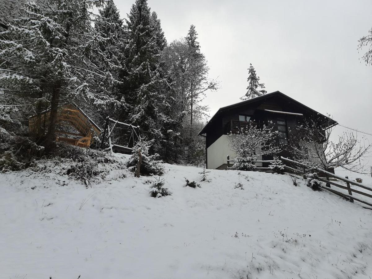 Chalet під боржавою *