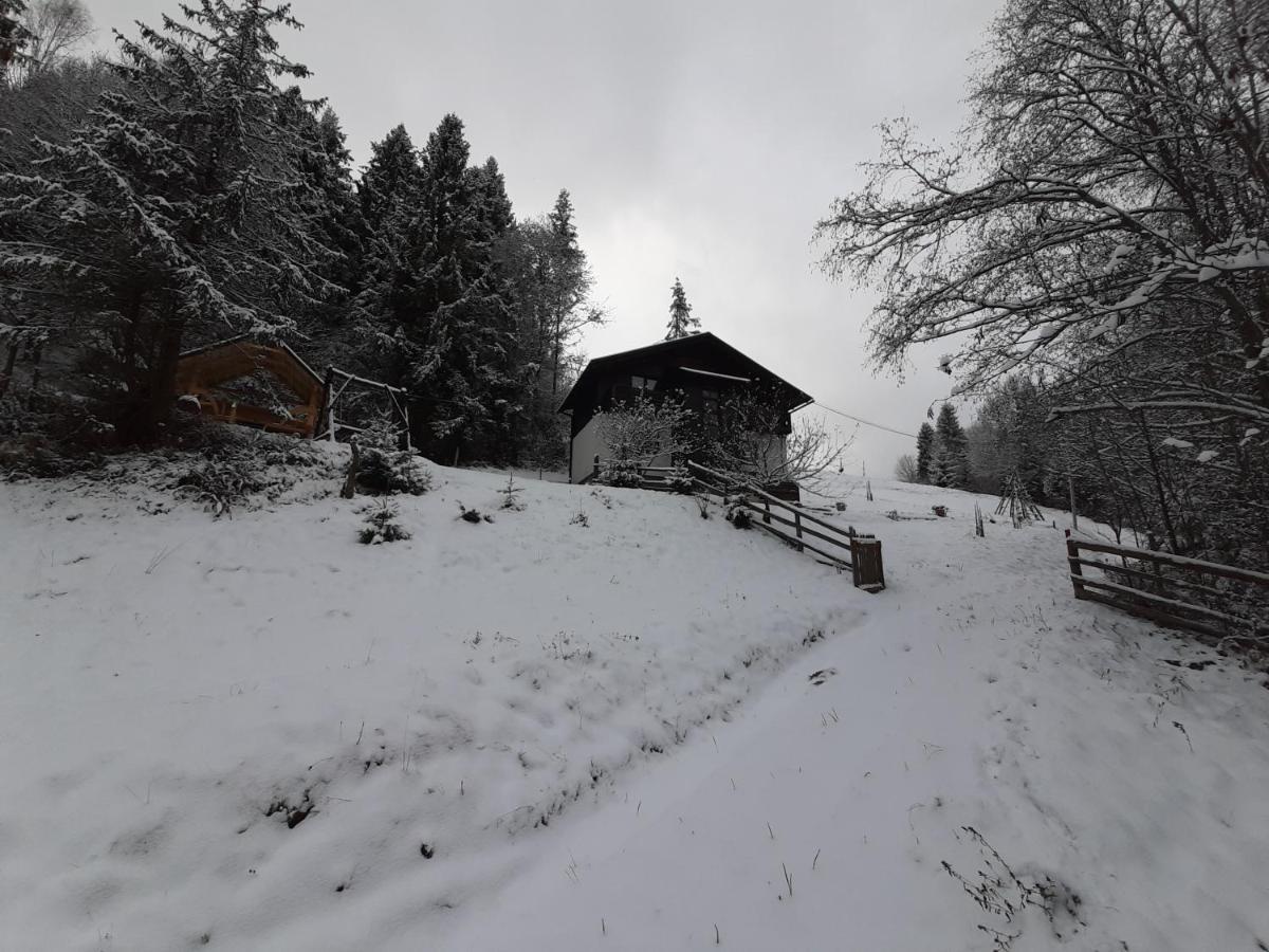 під боржавою Chalet Pilipets